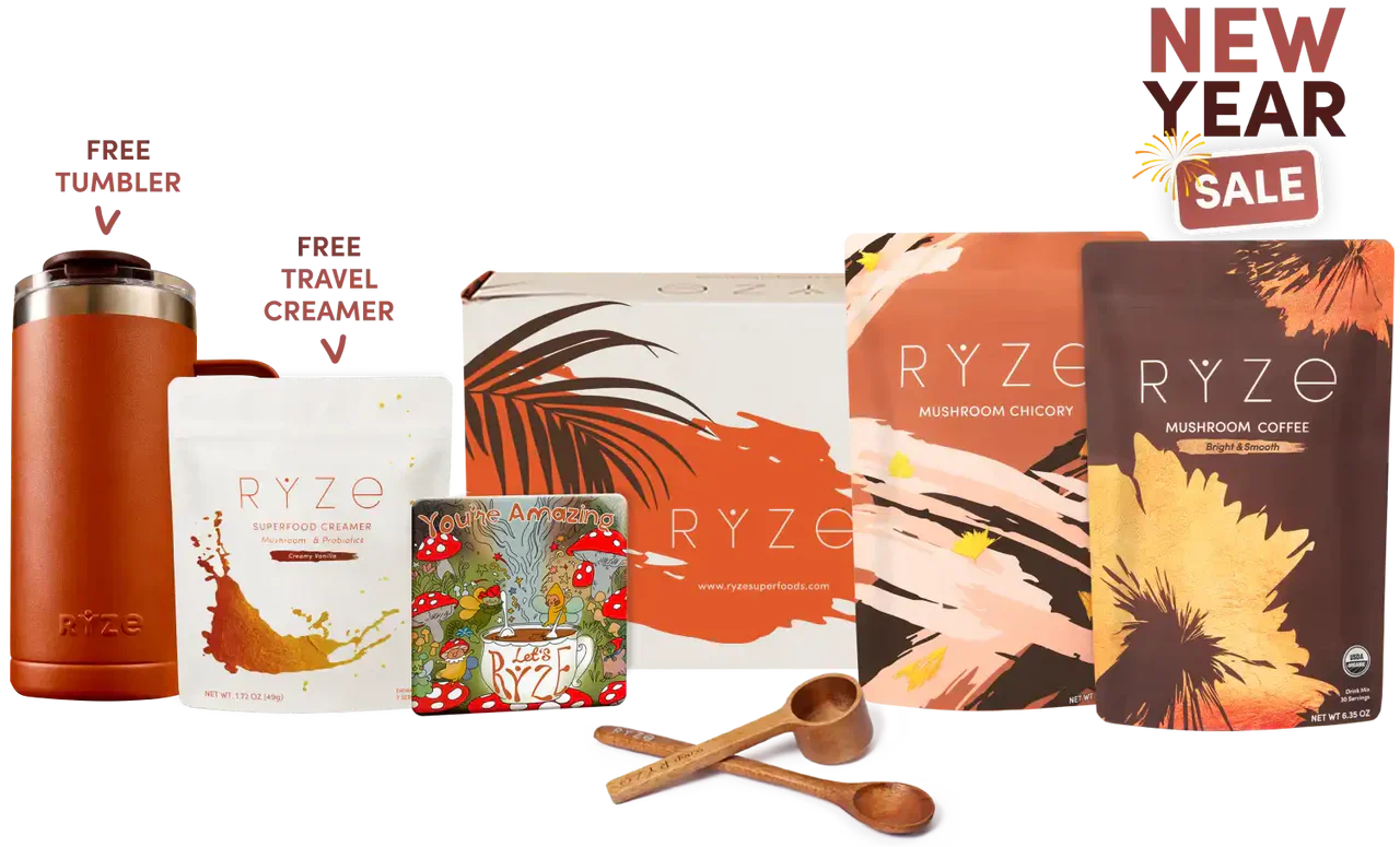 Lasting Energy Bundle Plus Nova