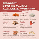Mushroom Chai Daily Dawn