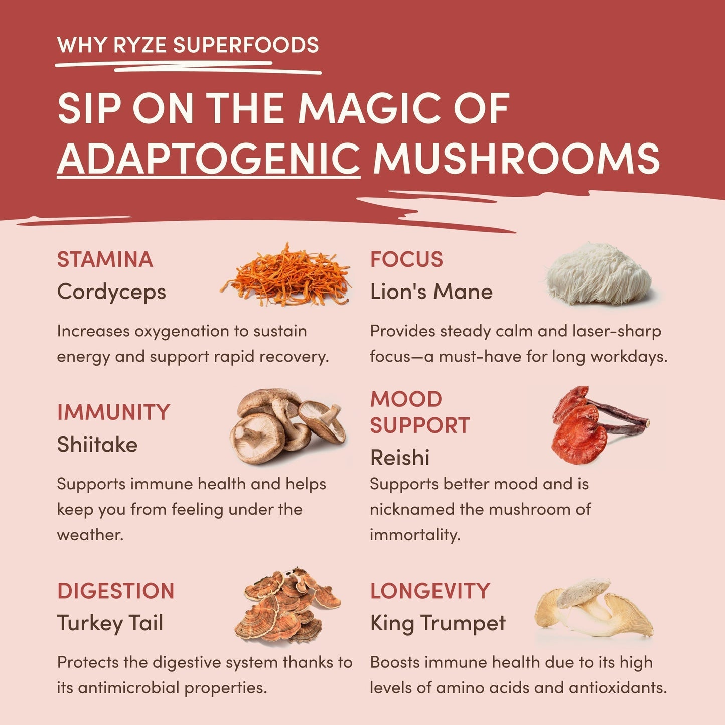 Mushroom Chai Daily Dawn