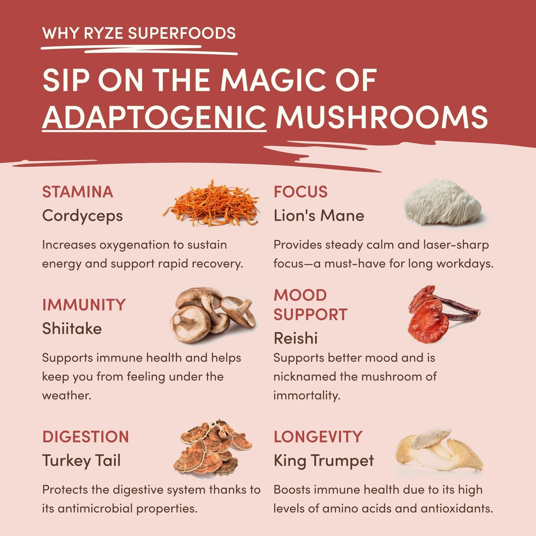Mushroom Chai Daily Dawn